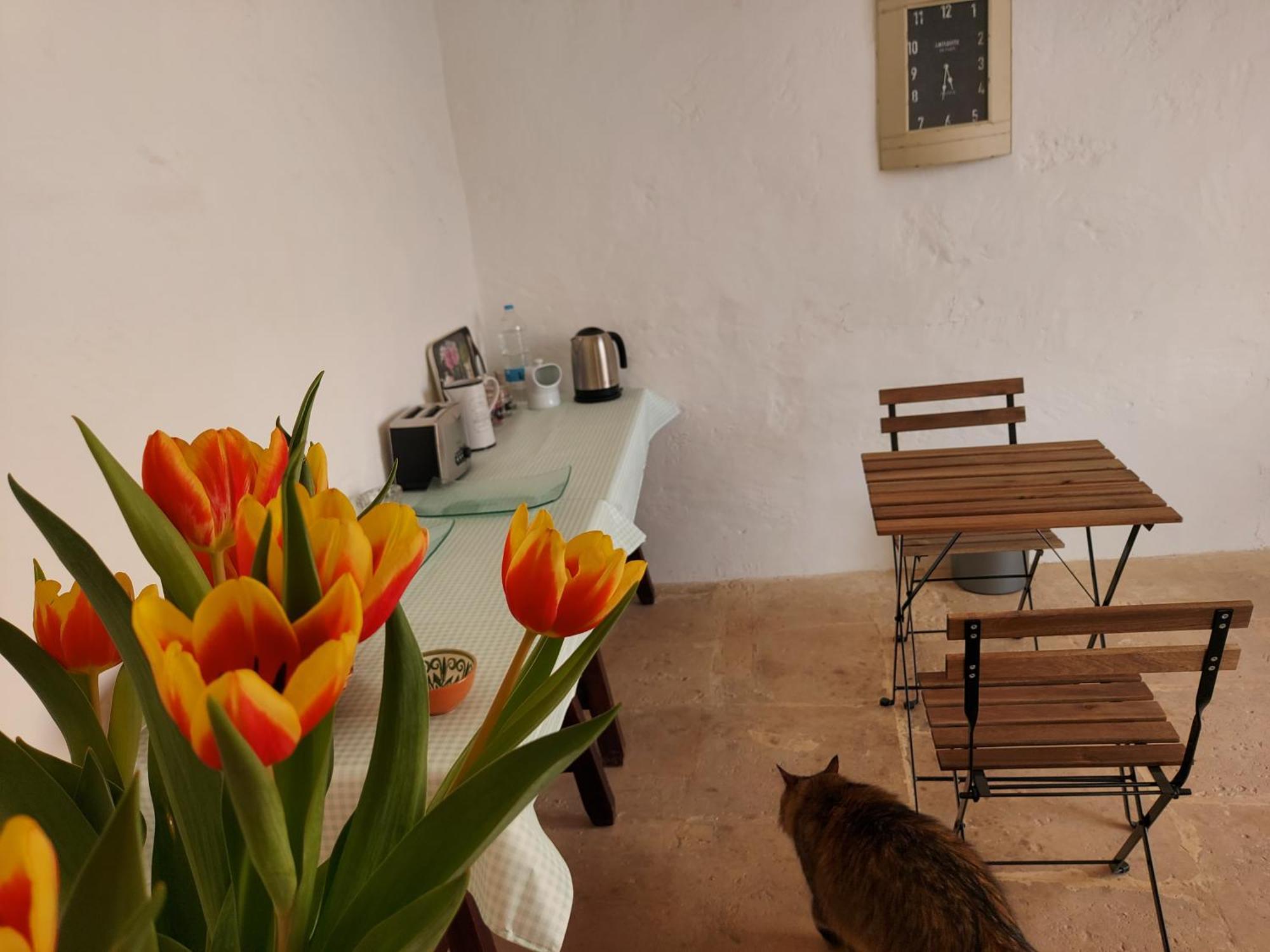 גאסרי Razzett Warda B&B מראה חיצוני תמונה